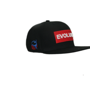 3d Evolution Embroidered Snapback Cap